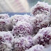 RESEP KUE KLEPON UBI UNGU MANIS LEGIT