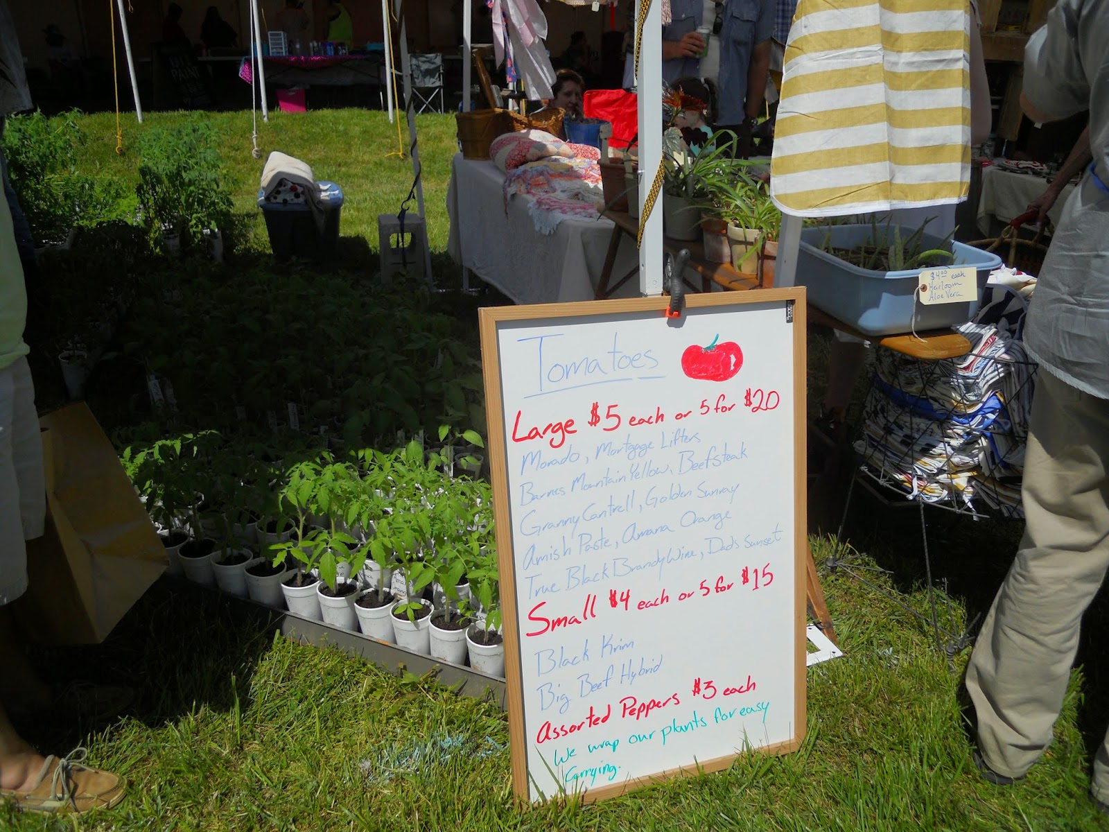 I AM Buddy, The BUDDHA From Mississippi ™ Baker Creek Heirloom Seeds