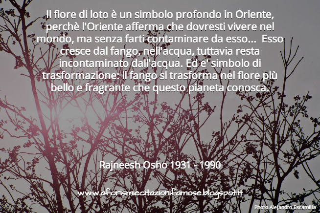Aforismi E Citazioni Famose Frase Bella Rajneesh Osho