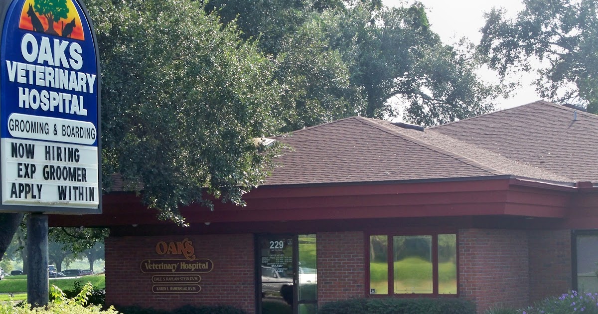 GAINESVILLE FLORIDA Alachua University Restaurant Dr.Hospital Attorney