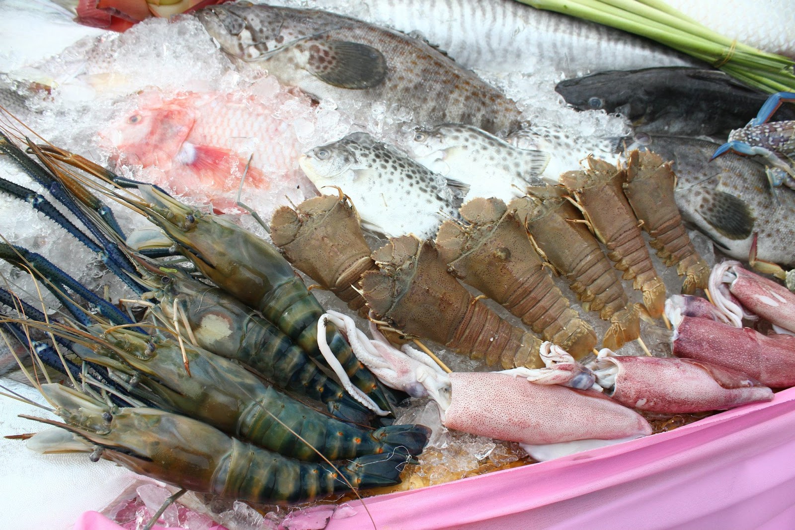 อาหารทะเล