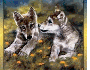 animation bundle wolves animated gif doing freaky things collection 2