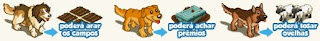 Tarefas do seu Pet Tarefas do seu Pet