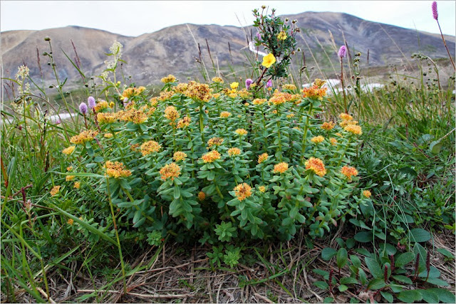 Chukotka-most-secret-places-in-Russia-google