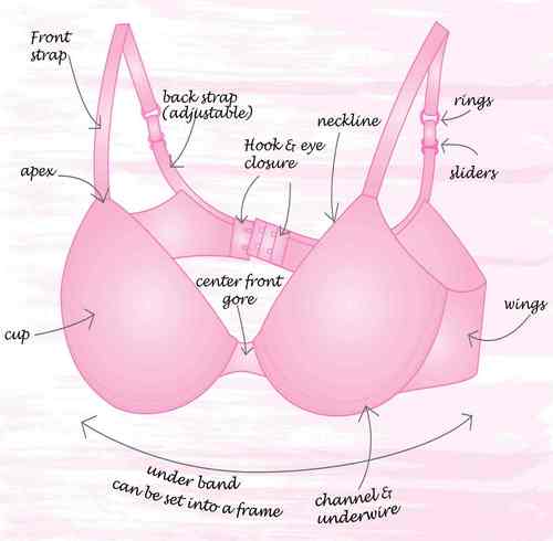 Textile & Clothing Info: Different Parts of a Bra/Brassiere