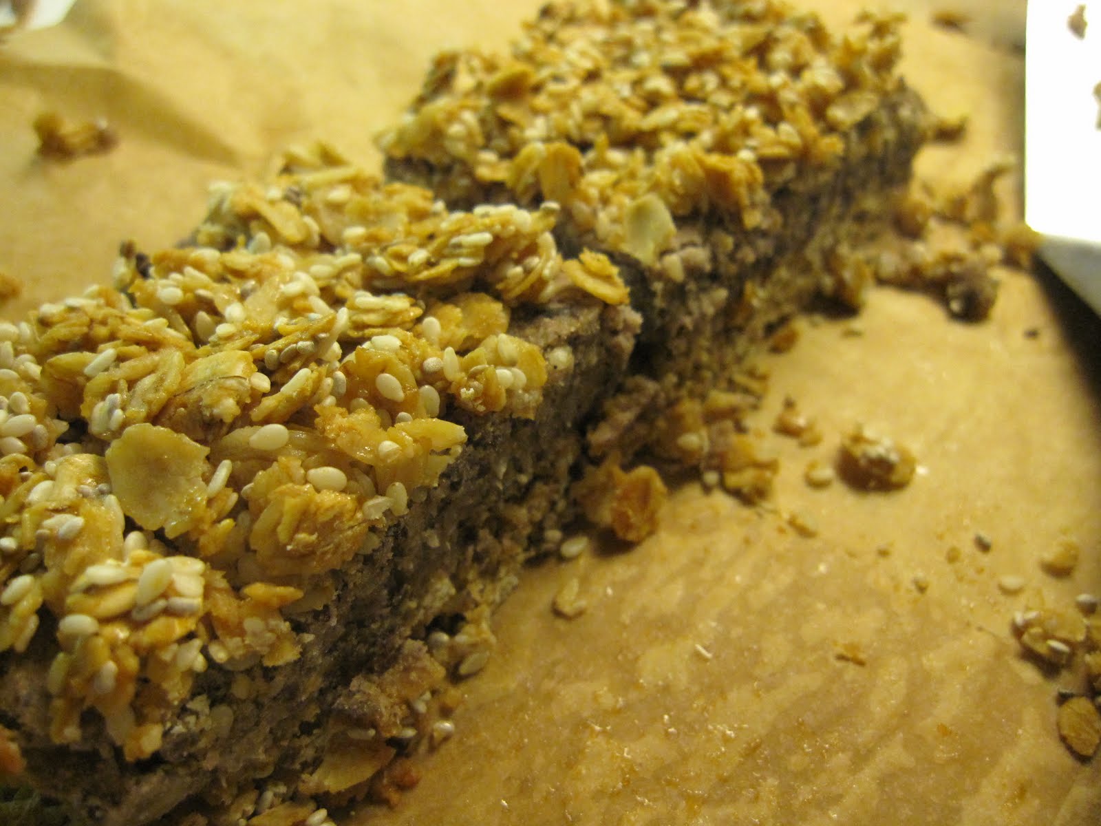 The LeFort Urban Homestead... 05.11