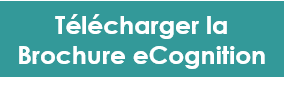 http://www.geosystems.fr/brochure-ecognition