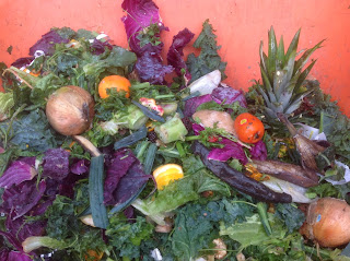 Hilltown Tree and Garden LLC