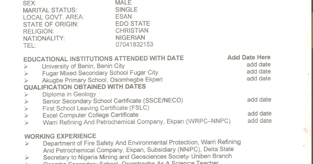 curriculum vitae curriculum vitae making curriculum vitae