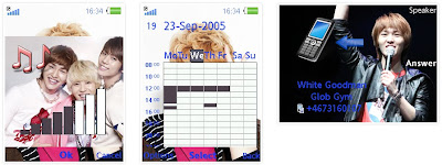 SHINee SonyEricsson手機主題for Elm/Hazel/Yari/W20﹝240x320﹞