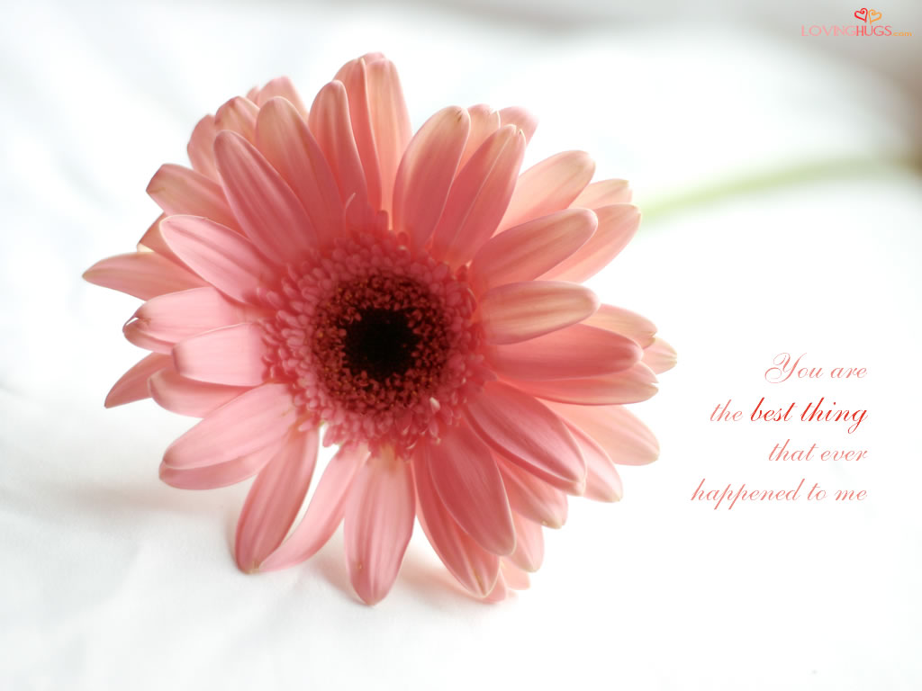 http://4.bp.blogspot.com/-eX6bs7OpqXA/T4xmyQmLtmI/AAAAAAAABZA/BXyx-HVJKIw/s1600/Loving+Hugs.jpg