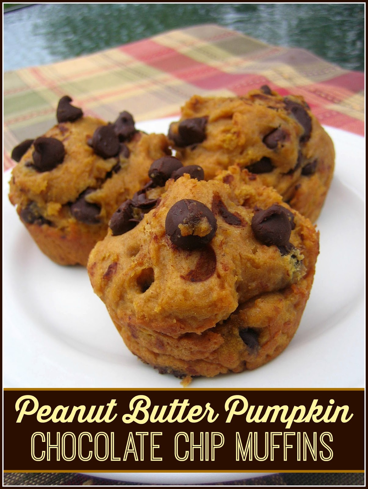 Improv Peanut Butter Pumpkin Chocolate Chip Muffins Edesia's Notebook