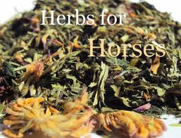 HERBS