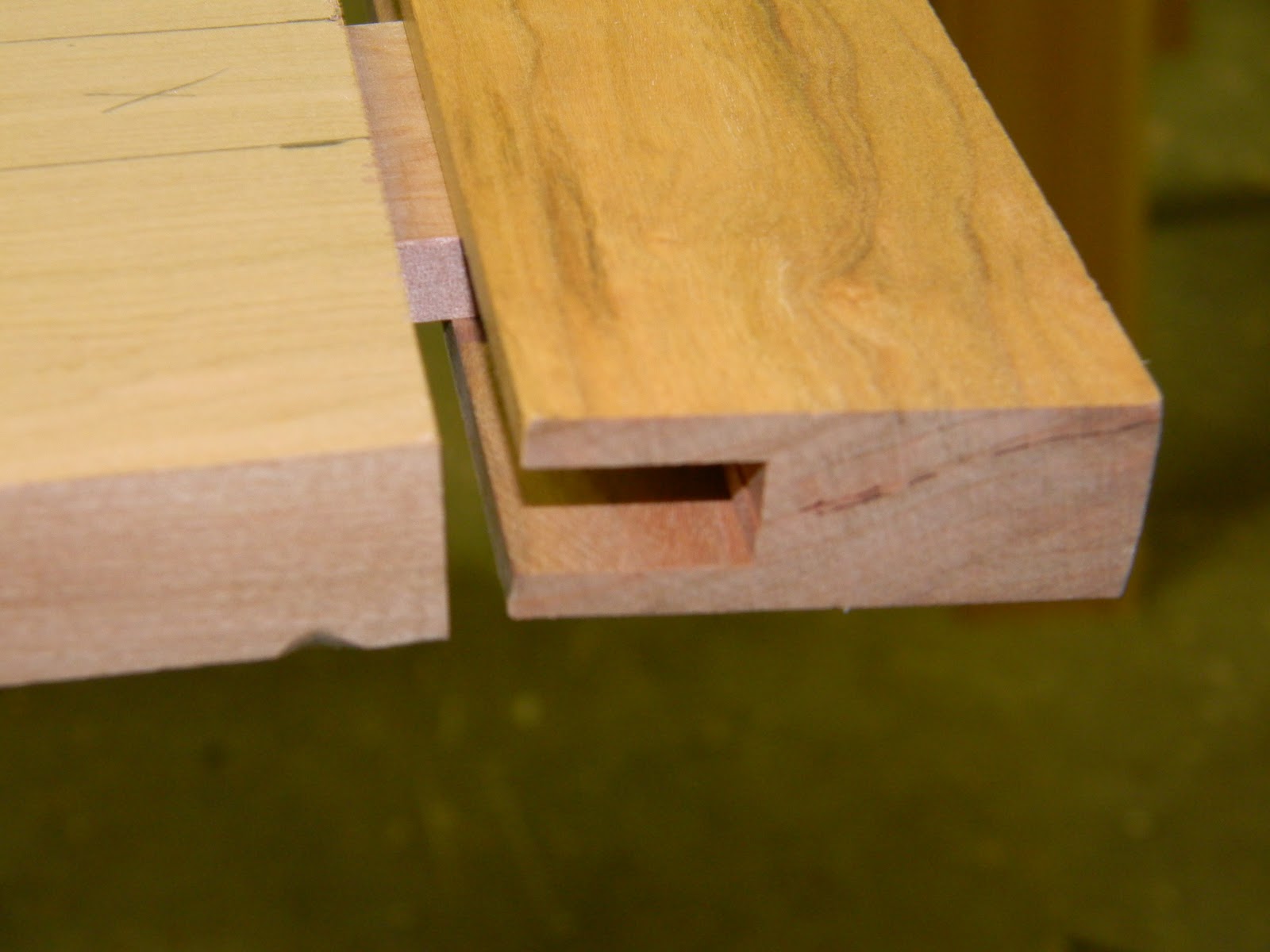 North Country Windsors Domino