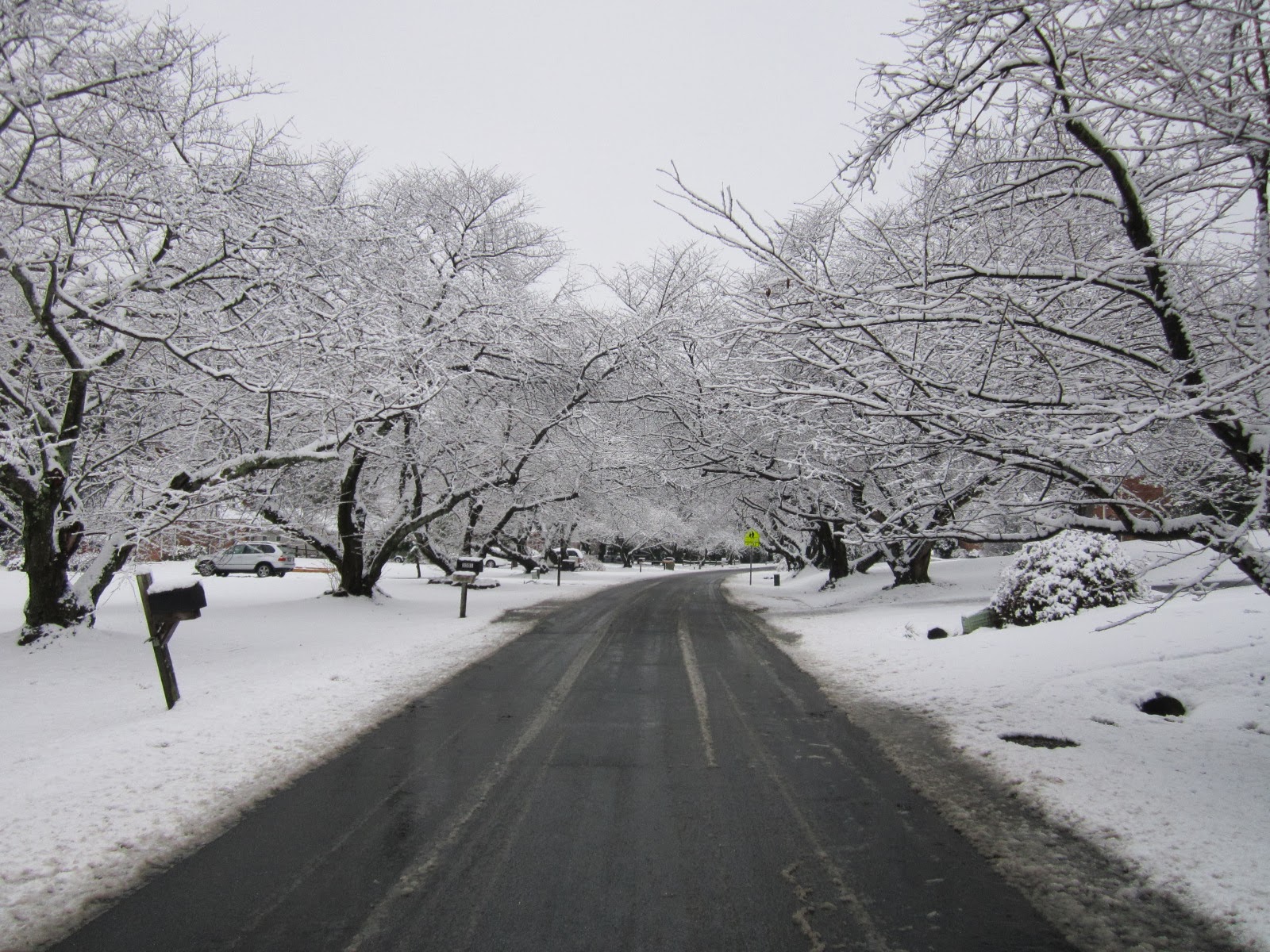That's What She Said Winter in Maryland