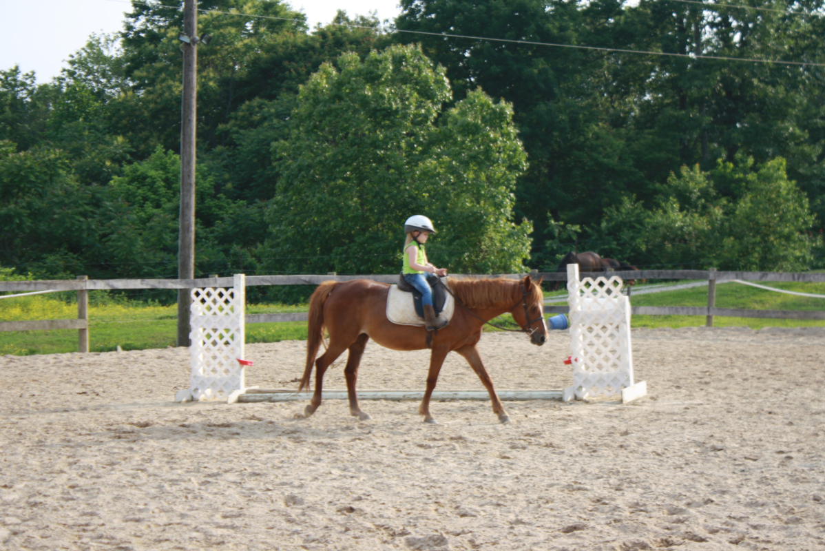 lueker munchkins  horseback riding lessons for reagan