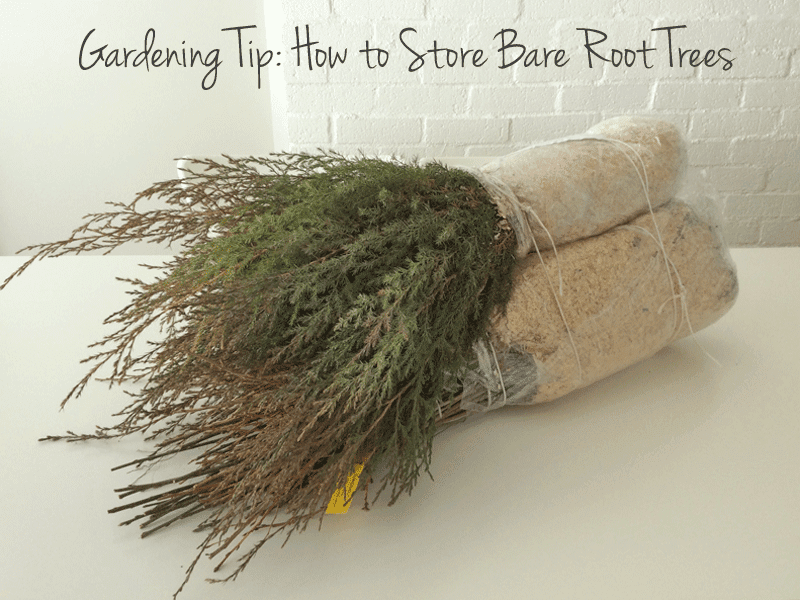 Bohemian By Design Boho Lifestyle Blog Fashion, Design, Decor, Food