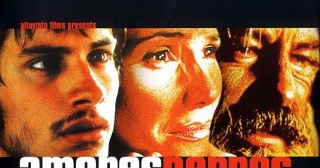 Hayat Hic Bu Kadar Siradan Olmamisti Paramparca Asklar Kopekler Amores Perros