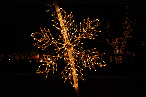 zoo lights billings montana 27 shining light celebration gothenburg ...