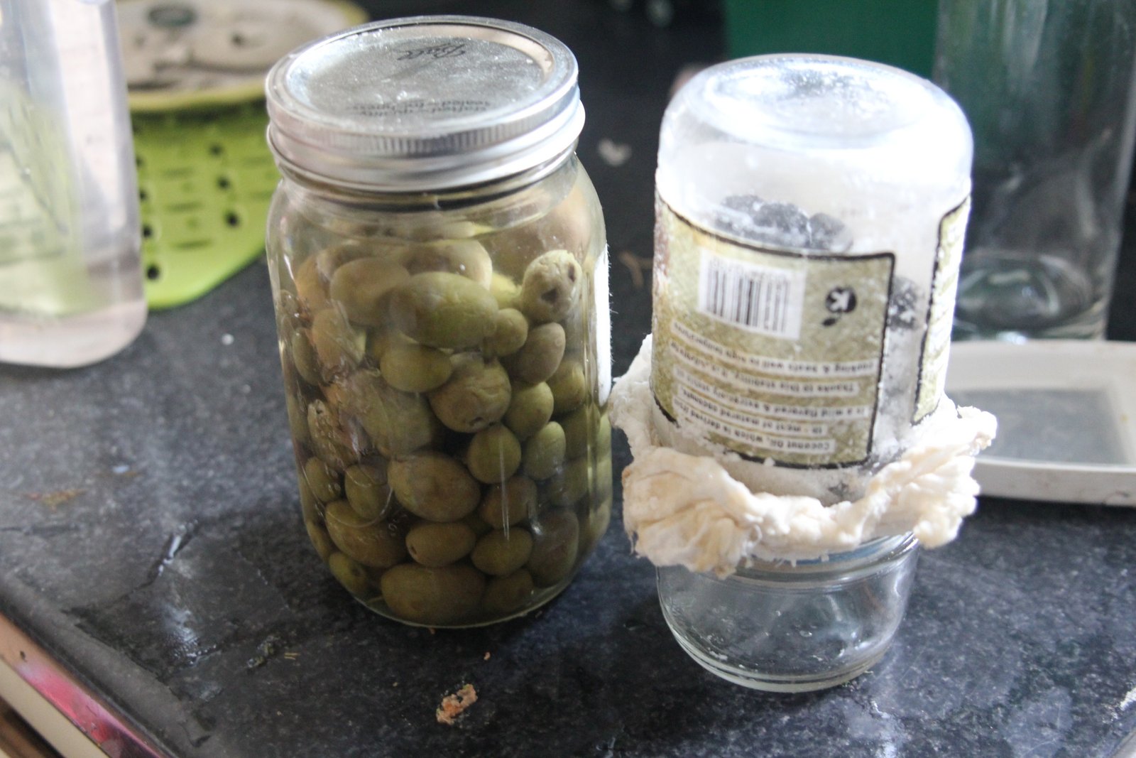 Nicolle's Originals Curing and Flavoring Black Olives at Home DIY