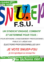 Octobre 2011 " Votez Snuep et FSU "