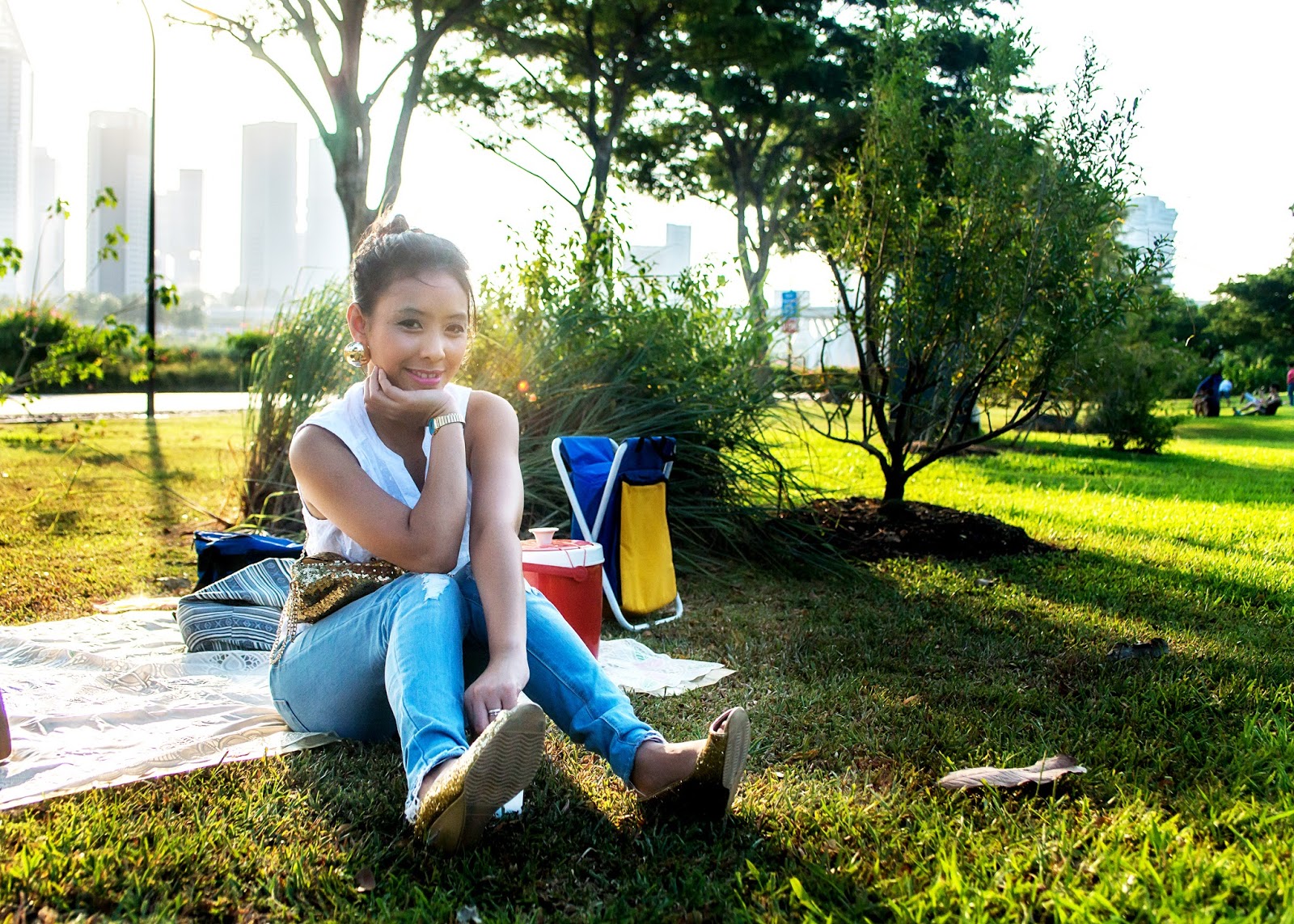 Picnic, iftar, pre ndp airshow & fireworks everything & anything ...
