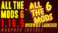 HOW TO INSTALL<br>All the Mods 6 Modpack [<b>1.16.5</b>]<br>▽