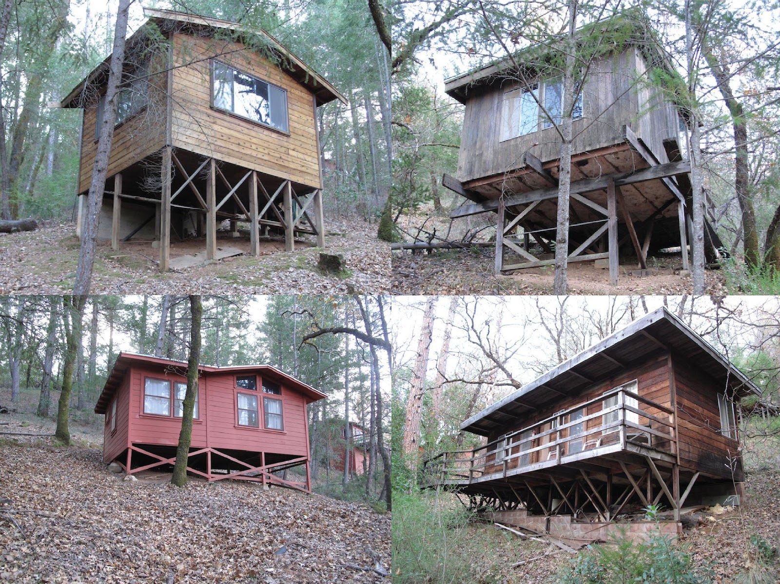 Visit a California Hillside House Rooted in Nature