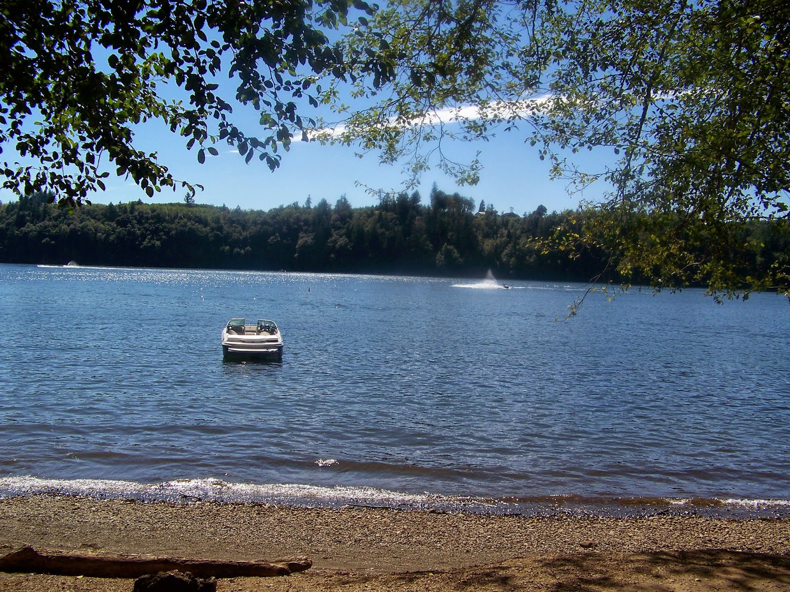 Goleevertravels Mayfield Lake