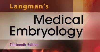 langman embriologie medicala pdf
