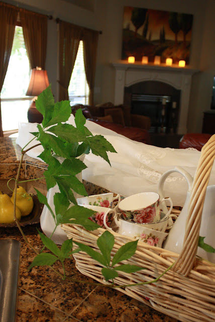 .: Around the house and garden...