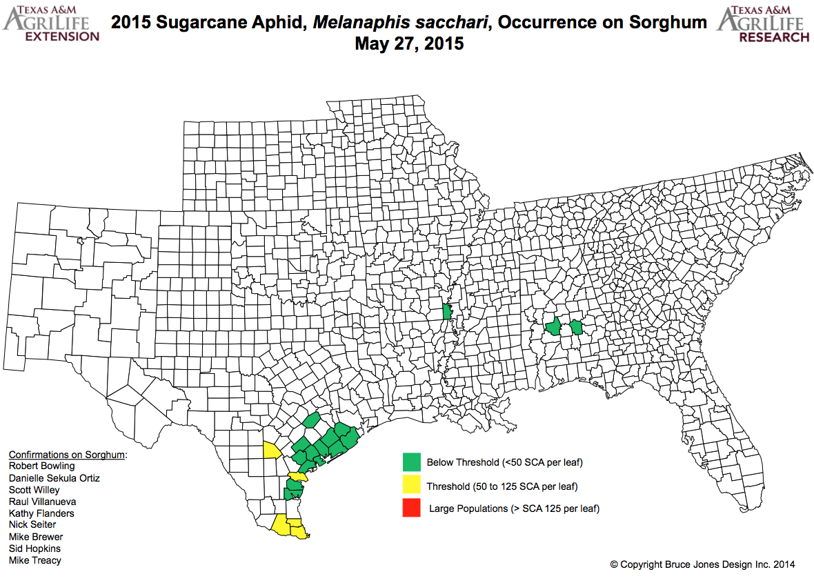 dr bowling reports that sca populations in south texas have been much lighter than expected this may be the result of heavy and persistent rain across dr bowling reports that sca populations in south texas have been much lighter than expected this may be the result of heavy and persistent rain across
