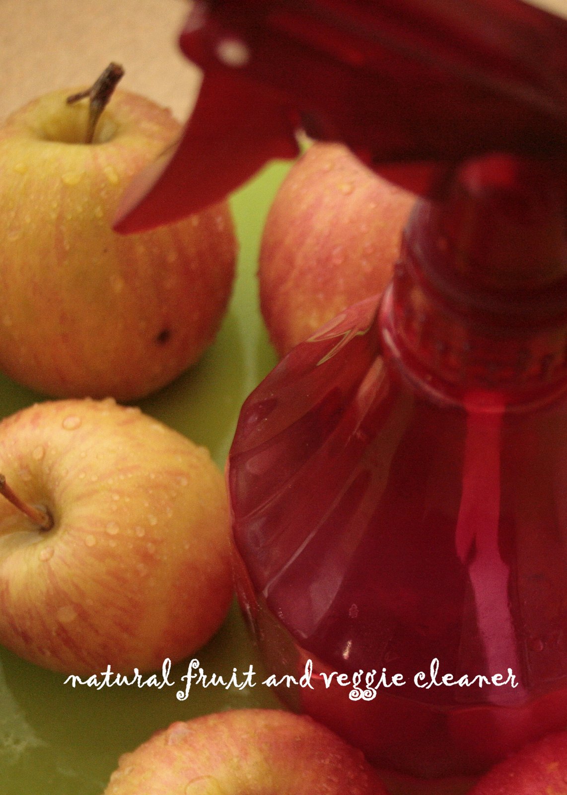 our carlson life diy thursday natural fruit and veggie cleaner