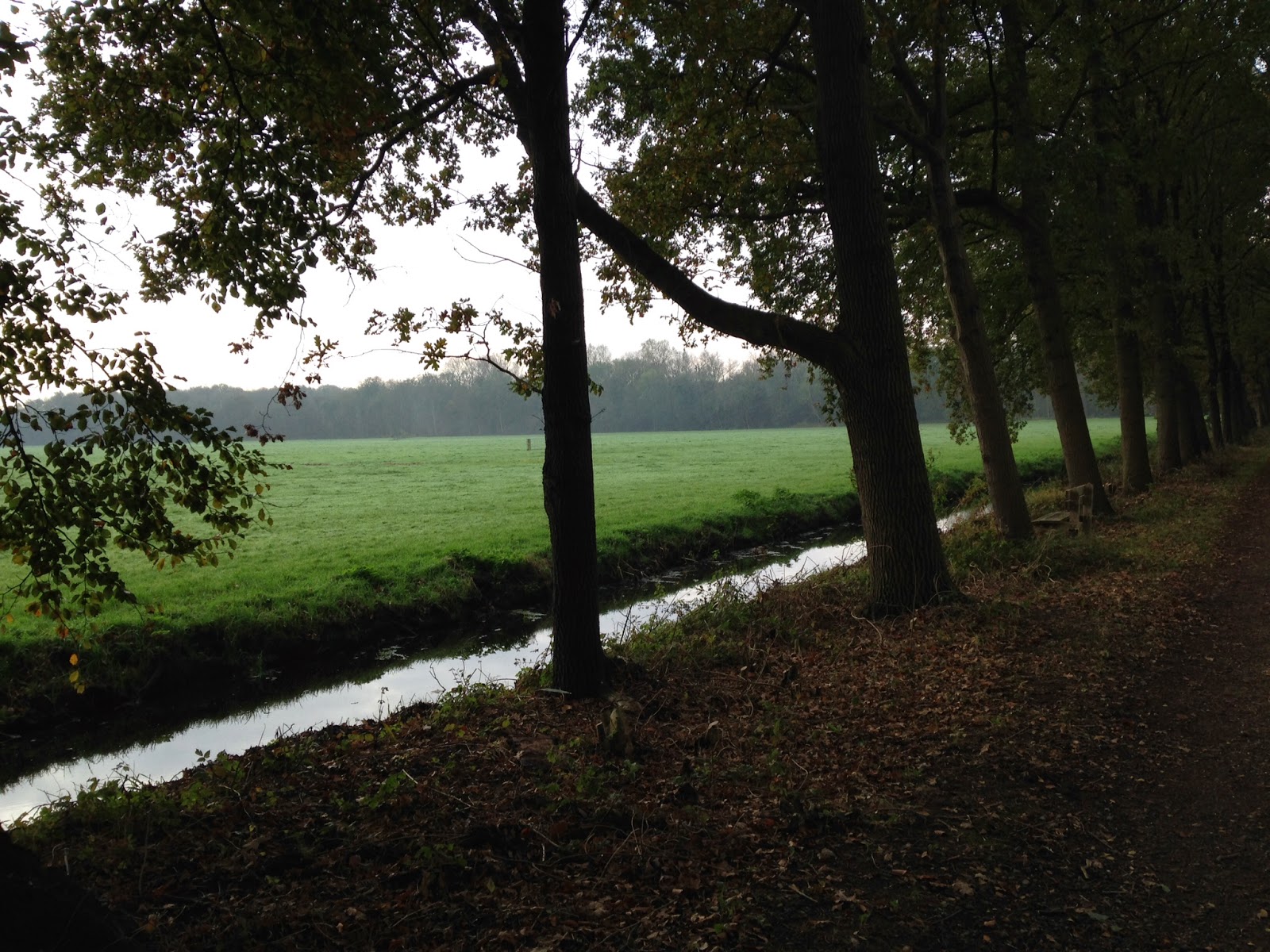 Henriette wandelt: oktober 2014