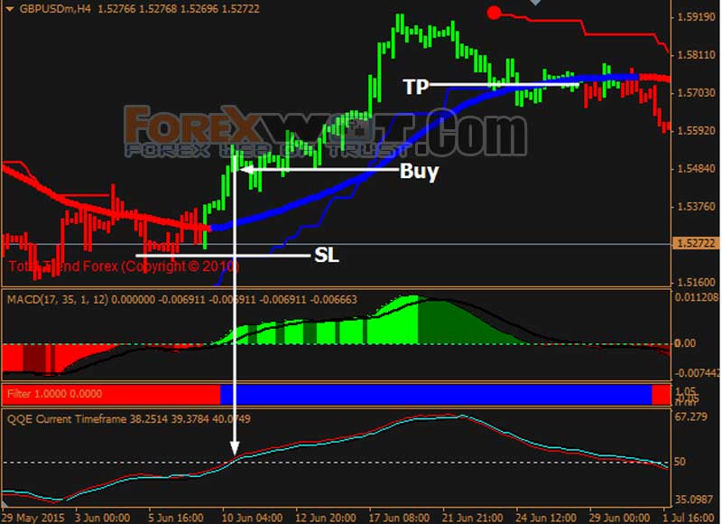 forex training trading system