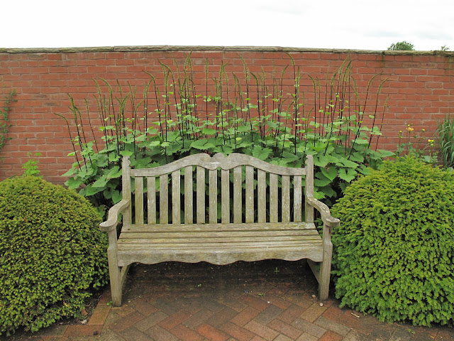 Garden Furniture Yew Tree Farm rock rose: back to engand and more gardens Garden Furniture Yew Tree Farm rock rose: back to engand and more gardens