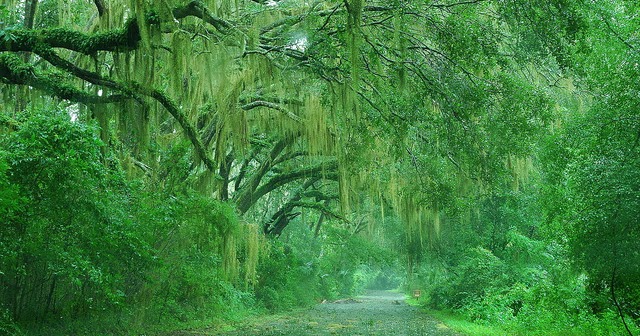 Rainy Wallpapers | Desktop Wallpapers