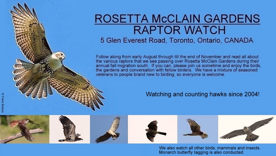 Rosetta McClain Gardens Raptor Watch