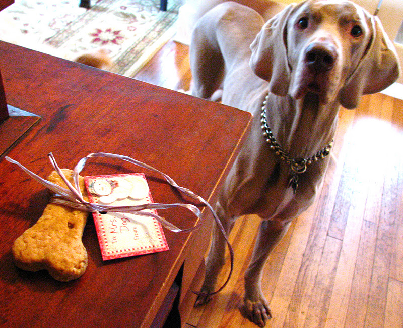 Hey, Mom! What's For Dinner? Prosciutto/Mozzarella Asparagus Wraps, and Christmas With The Dogs!