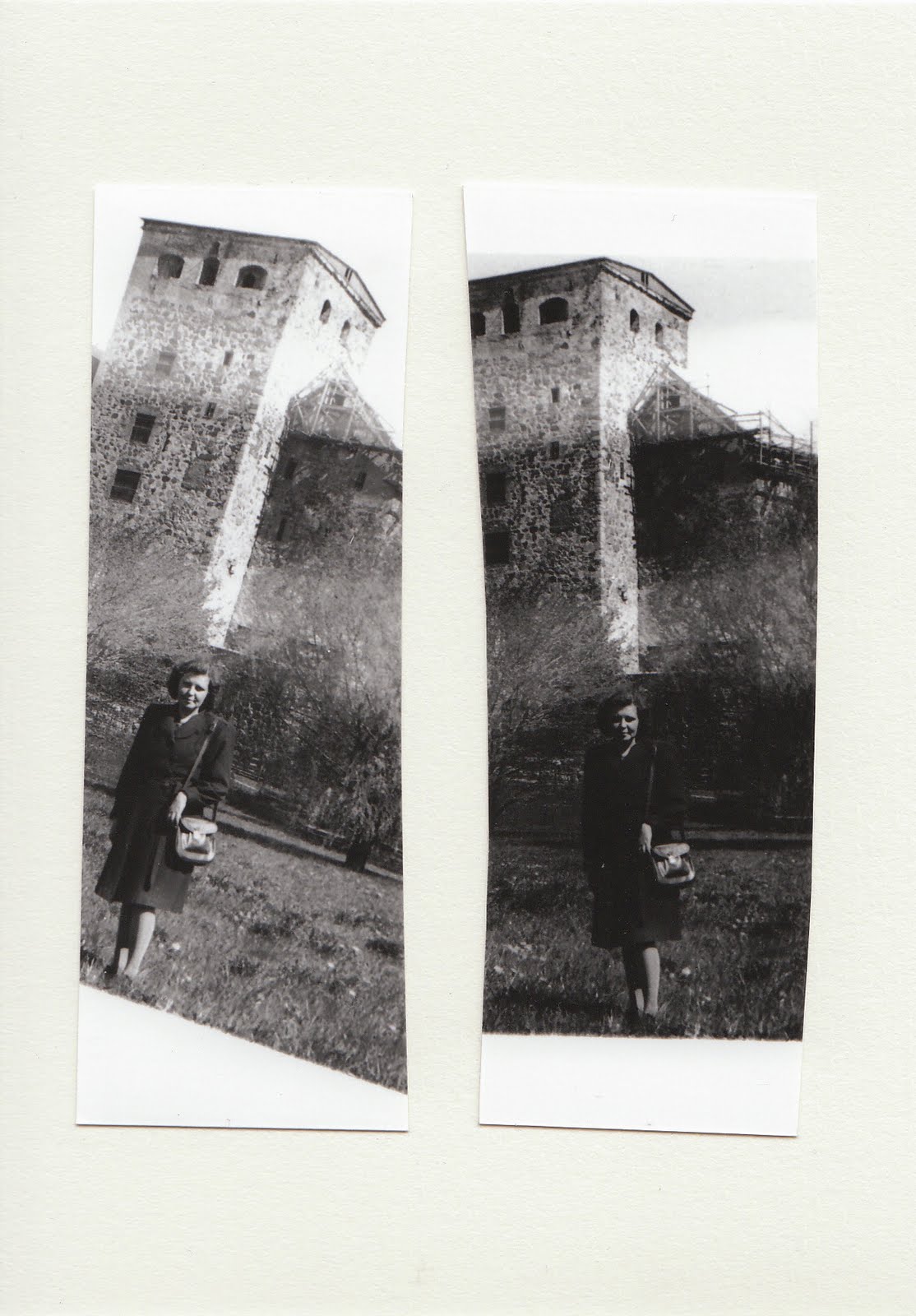 Passer Domesticus old negatives.