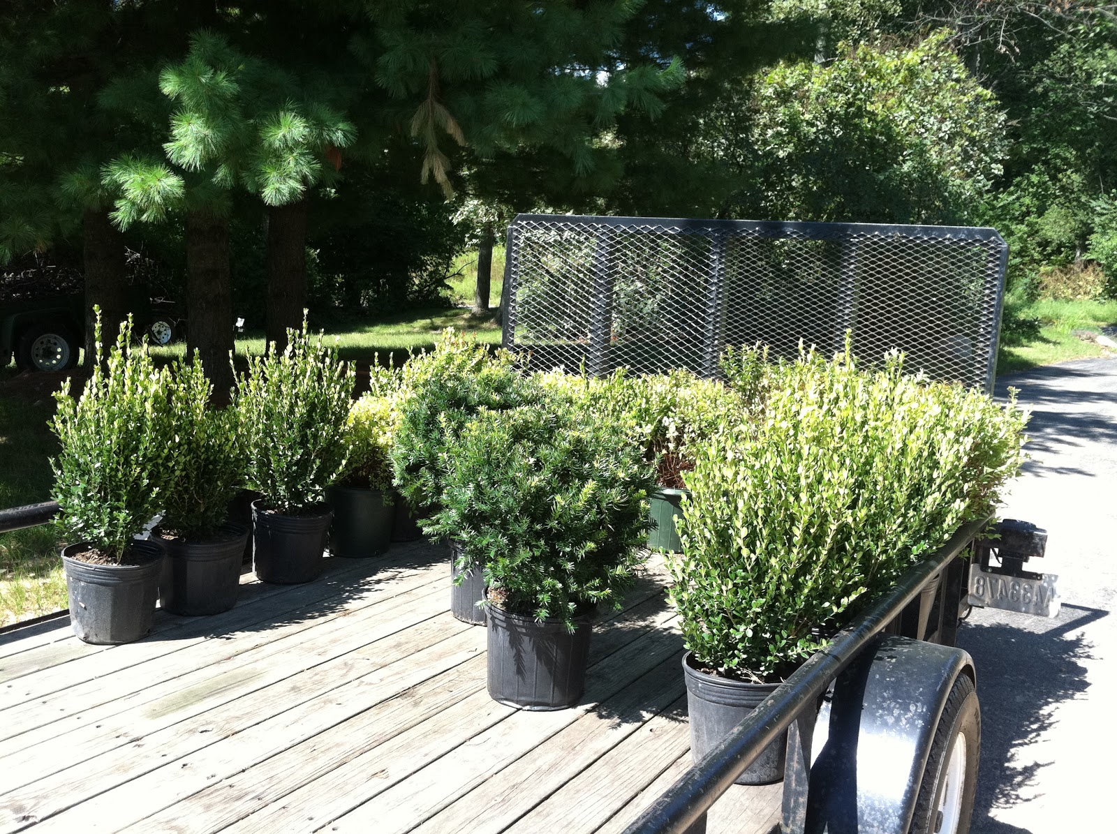 Our Country Farmhouse West Olive Nursery Visit Tomorrow I Jan Will Venture Down To The Allegan Antiques Market Which Is An Amazing Place If You Ve Never Been There It At Fair Grounds