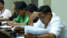 The Working City Councilor