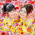 AKB48 日文翻譯中文歌詞: バラの果実 31st シングル さよならクロール SINGLE CD (AKB,SKE48 ,NMB48 ,HKT48)