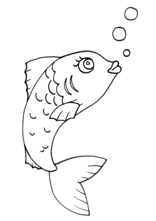 Blog MegaDiverso: Animales acuáticos para colorear