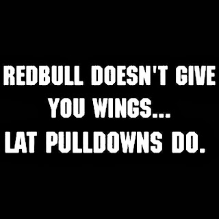 REDBULL DOESN'T GIVE YOU WINGS
