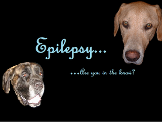 Dogs Unite to Fight Epilepsy
