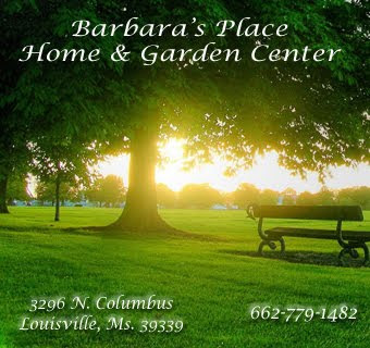 Barbara's Place