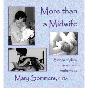 Midwives Book Synopsis