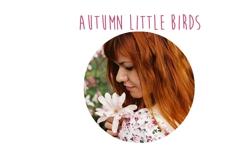 Autumn Little Birds