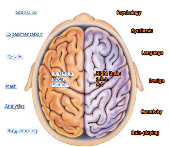 Brain Jack Image: Brain Hemispheres